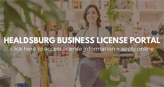 business license portal