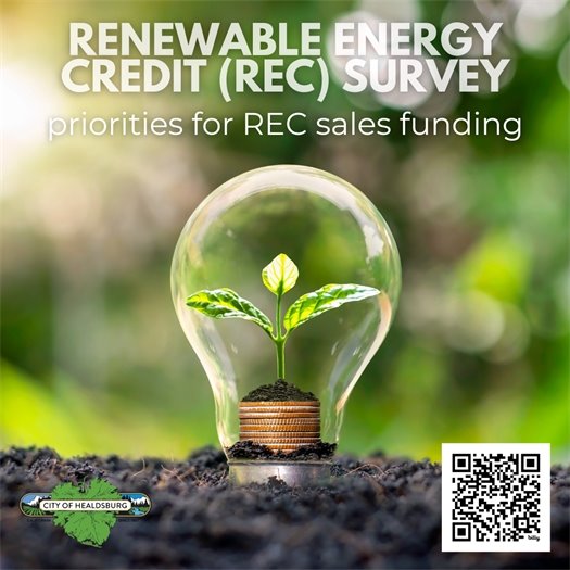 Renewable Energy Credit Survey