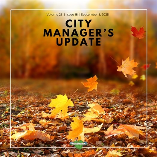 A picture of the City Manager's Update. A fall day with brown, yellow and orange leaves falling to the ground