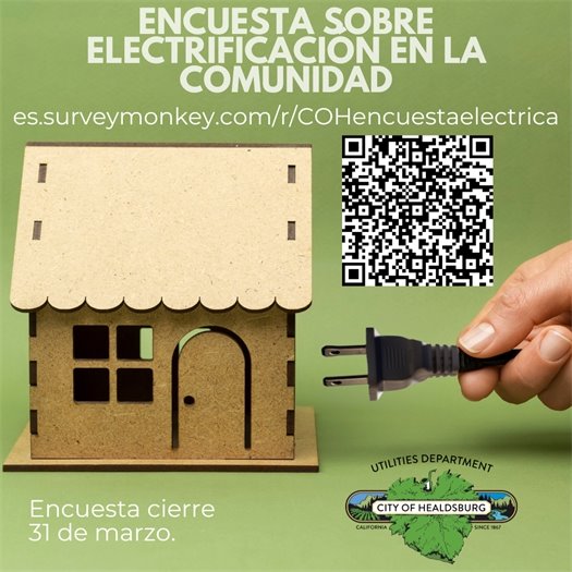 Encuesta de Electrificacion