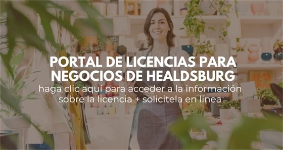 business license portal