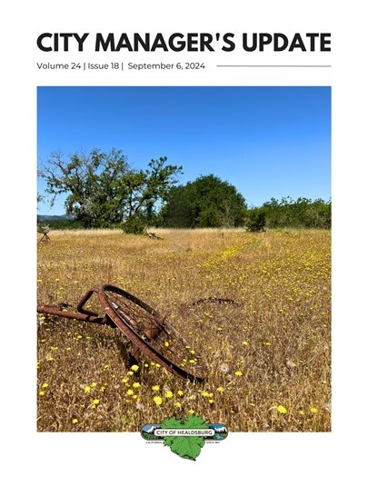 A rusted bicycle in a field with yellow flowers