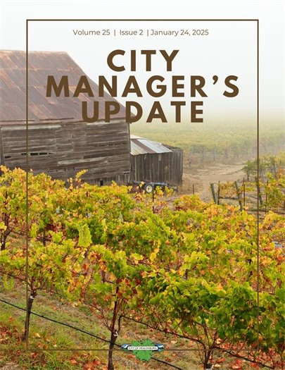 Vineyards in the winter with fog in the background