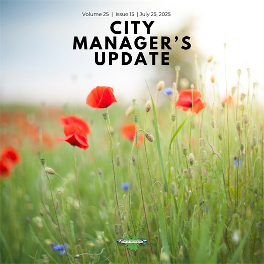 The cover of the Healdsburg City Manager's Update. A field of red and purple flowers with green stems.
