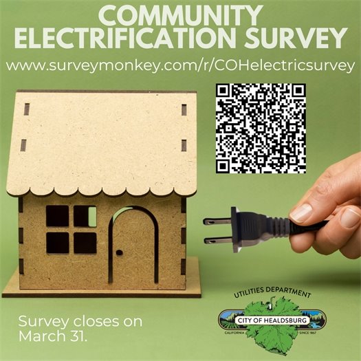 Community Electrification Survey