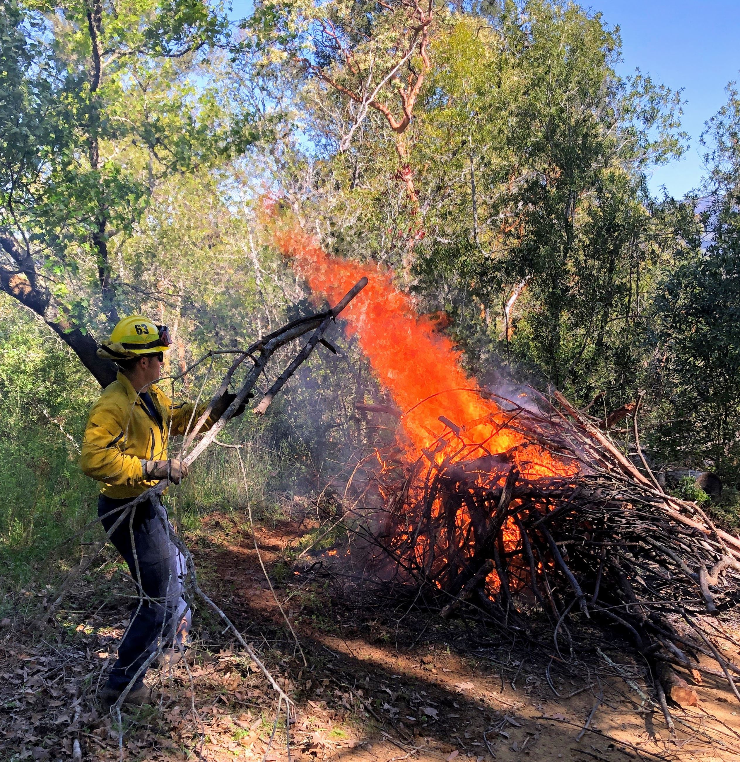 Wildfire Mitigation Fitch Mountain Open Space March 2021