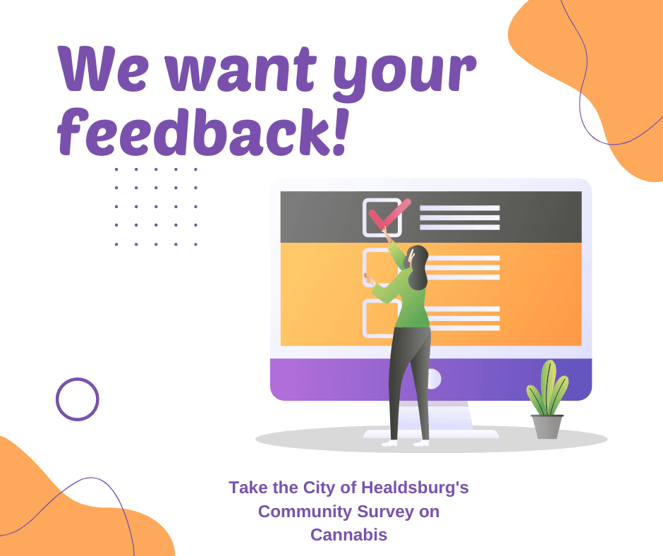 Cannabis Survey
