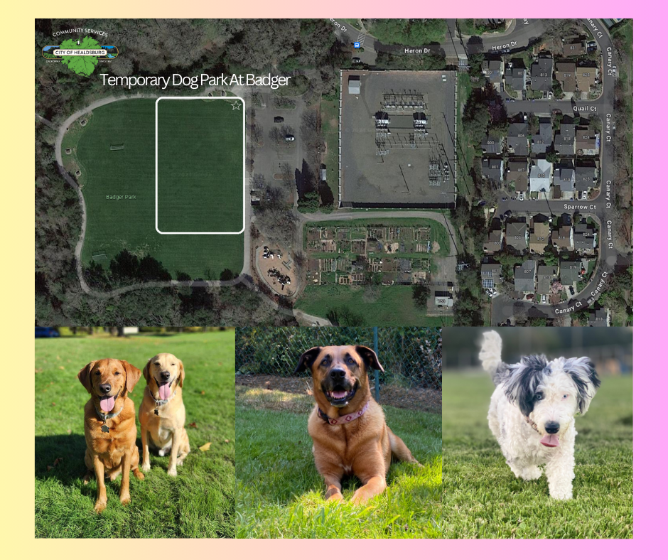 Temporary Dog Park Location