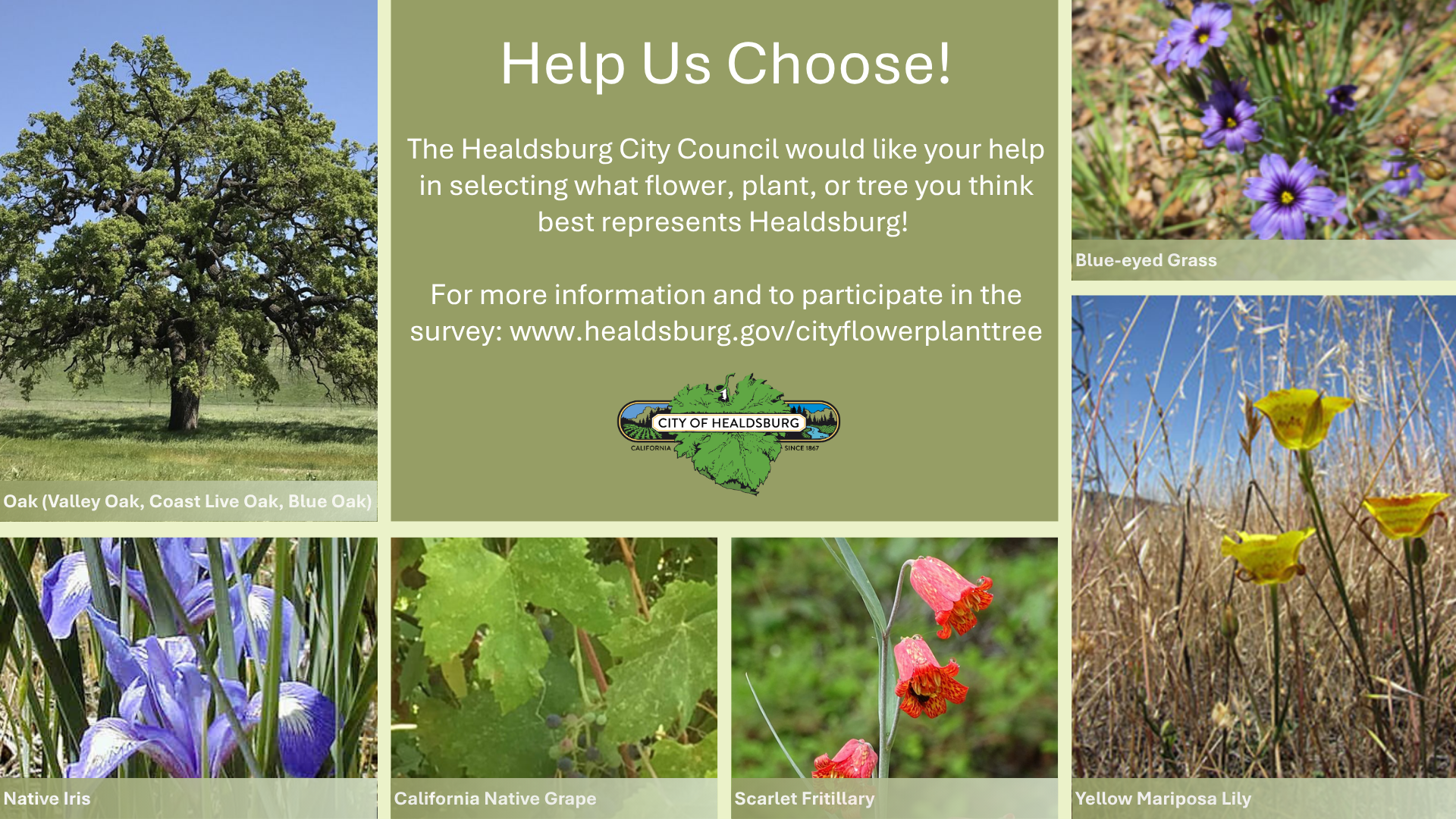 City Flower Plant Tree Graphic