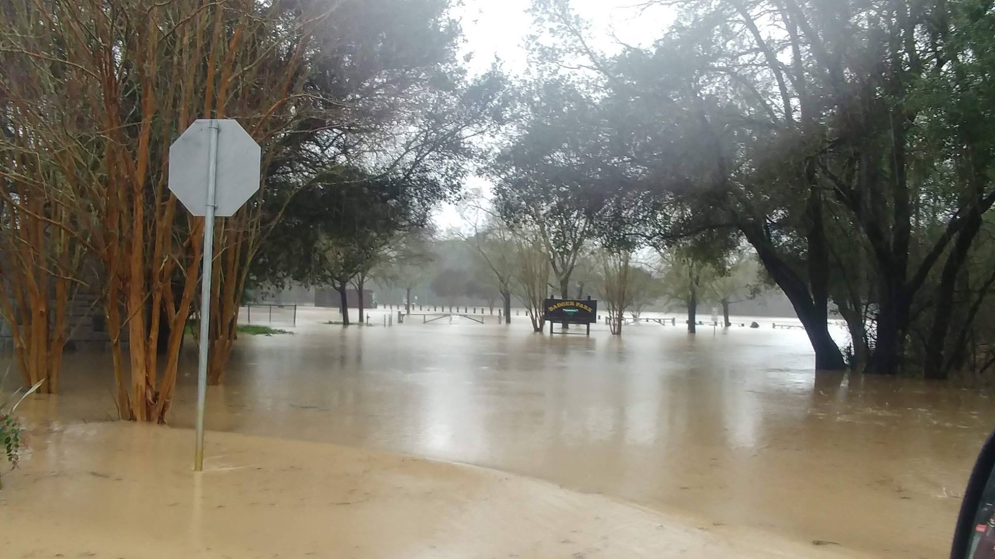 More flooded parks February 2019
